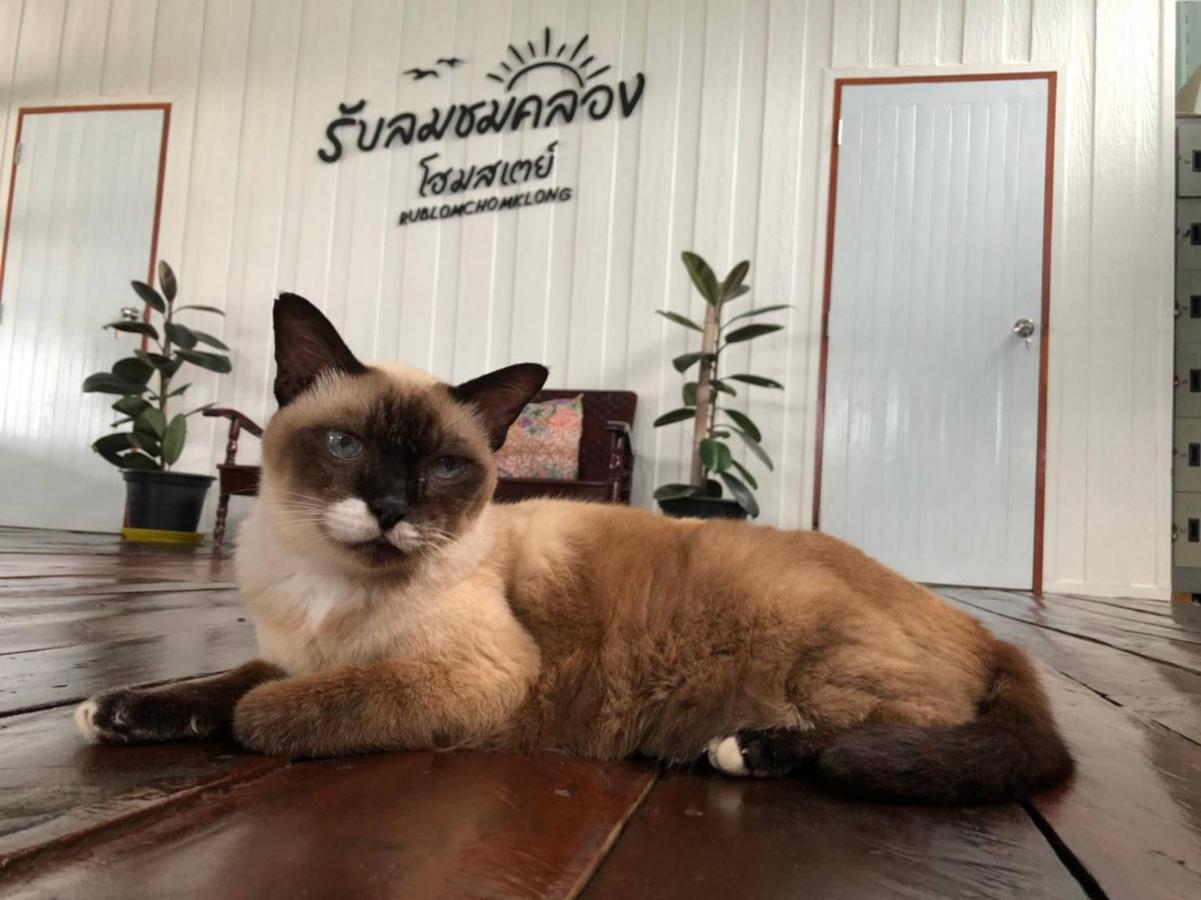Rub Lom Chom Klong Homestay Chumphon Dış mekan fotoğraf